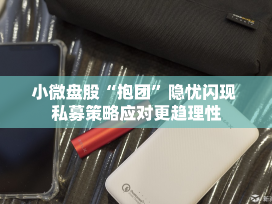 小微盘股“抱团”隐忧闪现 私募策略应对更趋理性-第1张图片-悦刻网上商城官方网站-正品优惠，尽在悦刻官方网站