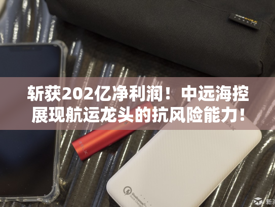 斩获202亿净利润！中远海控展现航运龙头的抗风险能力！