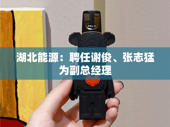湖北能源：聘任谢俊、张志猛为副总经理