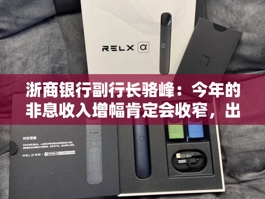 浙商银行副行长骆峰：今年的非息收入增幅肯定会收窄，出现高增长的难度比较大