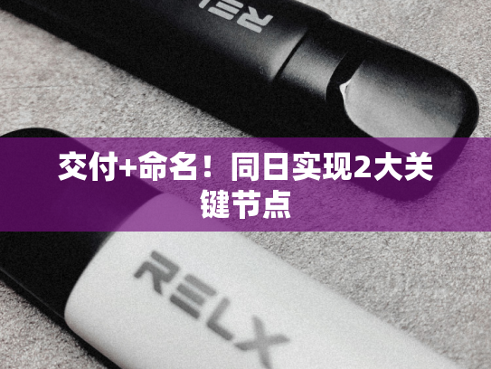 交付+命名！同日实现2大关键节点-第2张图片-悦刻网上商城官方网站-正品优惠，尽在悦刻官方网站