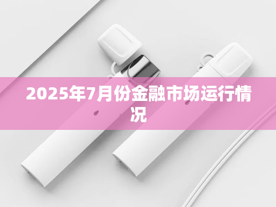 2025年7月份金融市场运行情况
