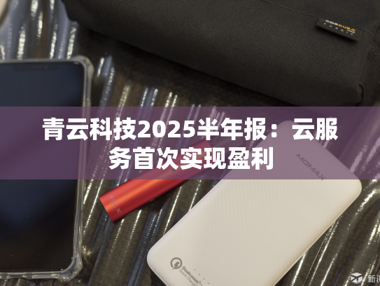 青云科技2025半年报：云服务首次实现盈利-第2张图片-悦刻网上商城官方网站-正品优惠，尽在悦刻官方网站