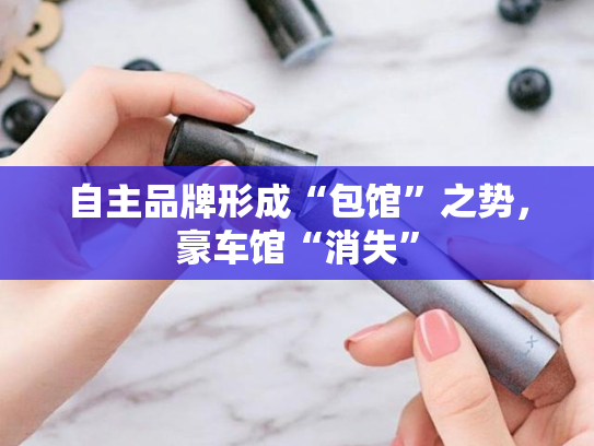 自主品牌形成“包馆”之势，豪车馆“消失”