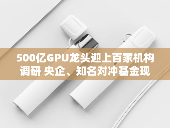 500亿GPU龙头迎上百家机构调研 央企、知名对冲基金现身 半数提问直指砺算科技-第1张图片-悦刻网上商城官方网站-正品优惠，尽在悦刻官方网站
