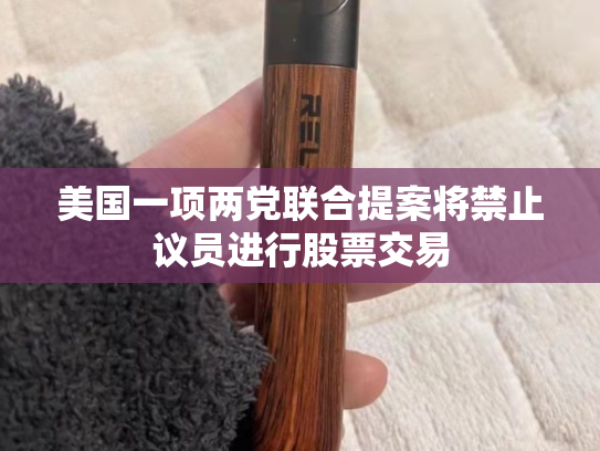 美国一项两党联合提案将禁止议员进行股票交易