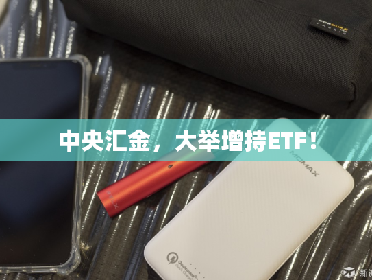 中央汇金，大举增持ETF！