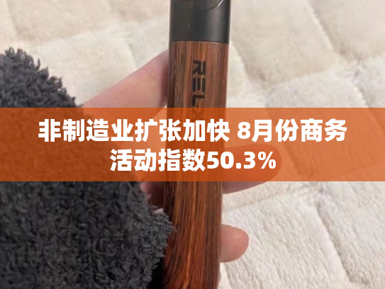 非制造业扩张加快 8月份商务活动指数50.3%