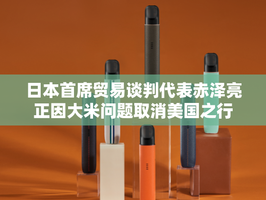 日本首席贸易谈判代表赤泽亮正因大米问题取消美国之行