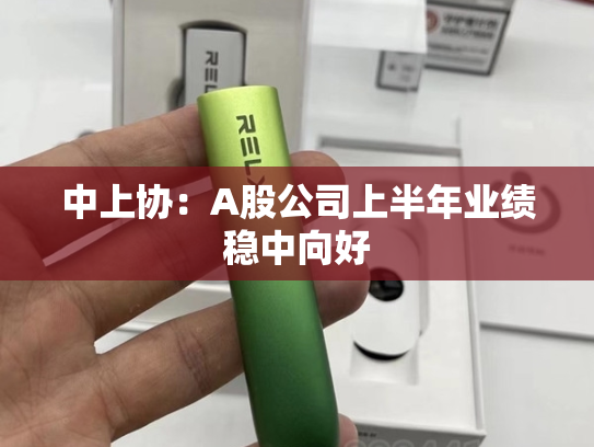 中上协：A股公司上半年业绩稳中向好
