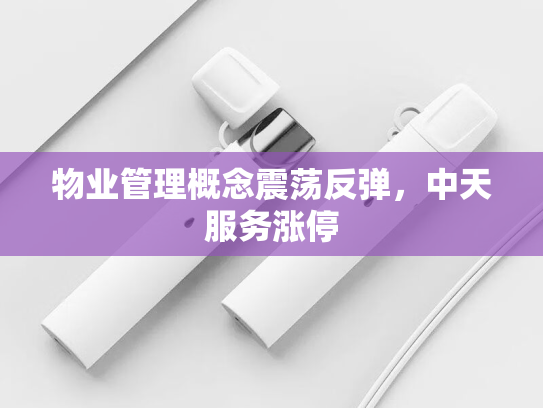 物业管理概念震荡反弹，中天服务涨停