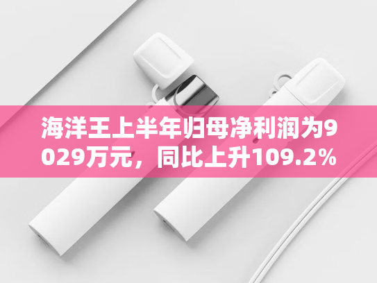 海洋王上半年归母净利润为9029万元，同比上升109.2%