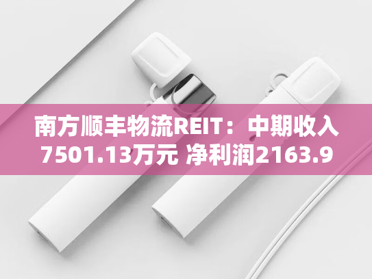 南方顺丰物流REIT：中期收入7501.13万元 净利润2163.99万元
