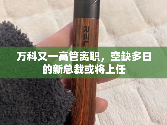 万科又一高管离职，空缺多日的新总裁或将上任-第1张图片-悦刻网上商城官方网站-正品优惠，尽在悦刻官方网站