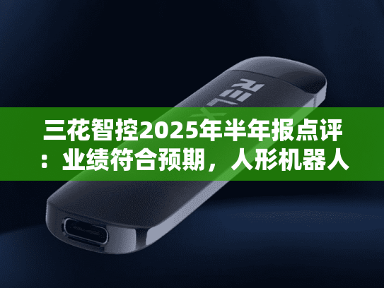 三花智控2025年半年报点评：业绩符合预期，人形机器人拓展新增长曲线【民生电新】