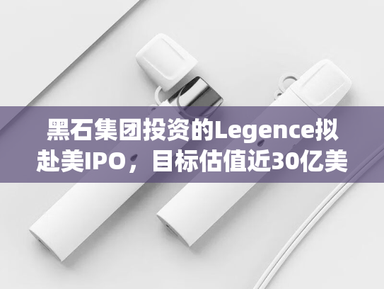 黑石集团投资的Legence拟赴美IPO，目标估值近30亿美元-第1张图片-悦刻网上商城官方网站-正品优惠，尽在悦刻官方网站