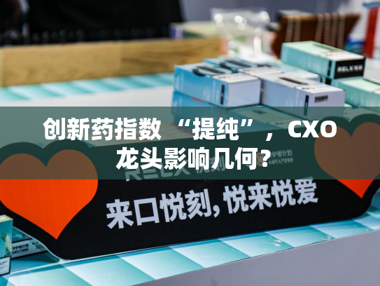 创新药指数 “提纯”，CXO 龙头影响几何？