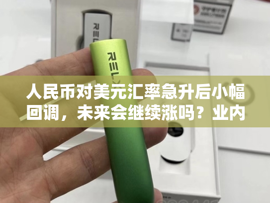 人民币对美元汇率急升后小幅回调，未来会继续涨吗？业内：将以稳为主