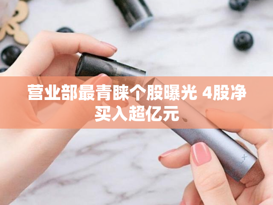 营业部最青睐个股曝光 4股净买入超亿元