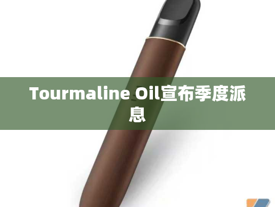 Tourmaline Oil宣布季度派息