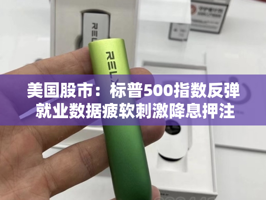 美国股市：标普500指数反弹 就业数据疲软刺激降息押注