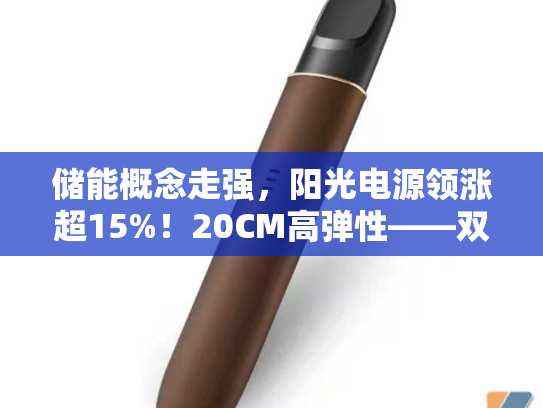 储能概念走强，阳光电源领涨超15%！20CM高弹性——双创龙头ETF（588330）逆市收红，标的指数本轮拉升70%
