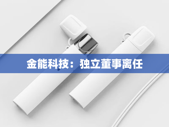 金能科技：独立董事离任-第2张图片-悦刻网上商城官方网站-正品优惠，尽在悦刻官方网站