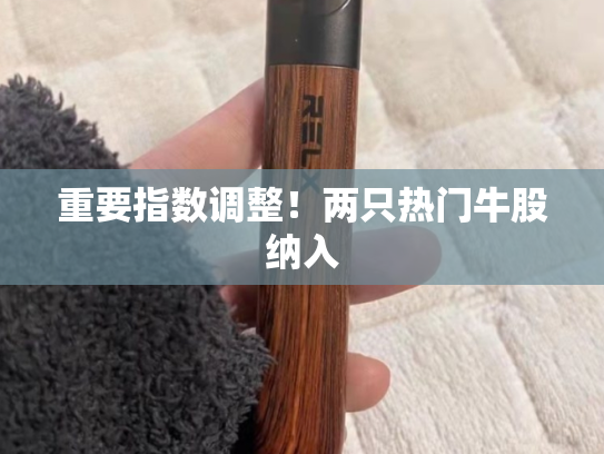 重要指数调整！两只热门牛股纳入