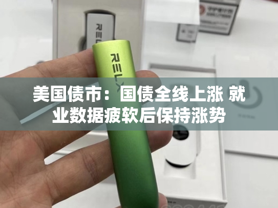 美国债市：国债全线上涨 就业数据疲软后保持涨势