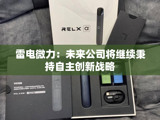 雷电微力：未来公司将继续秉持自主创新战略-第2张图片-悦刻网上商城官方网站-正品优惠，尽在悦刻官方网站