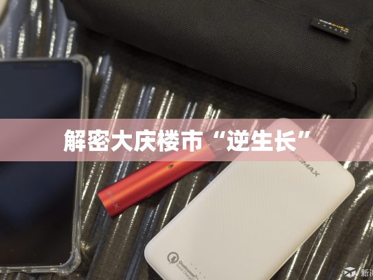解密大庆楼市“逆生长”-第2张图片-悦刻网上商城官方网站-正品优惠，尽在悦刻官方网站