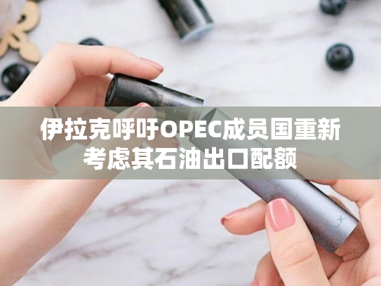 伊拉克呼吁OPEC成员国重新考虑其石油出口配额