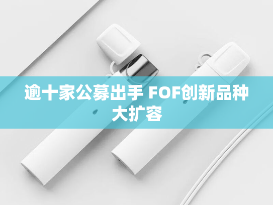 逾十家公募出手 FOF创新品种大扩容-第1张图片-悦刻网上商城官方网站-正品优惠，尽在悦刻官方网站