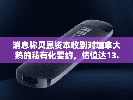 消息称贝恩资本收到对加拿大鹅的私有化要约，估值达13.5亿美元-第1张图片-悦刻网上商城官方网站-正品优惠，尽在悦刻官方网站