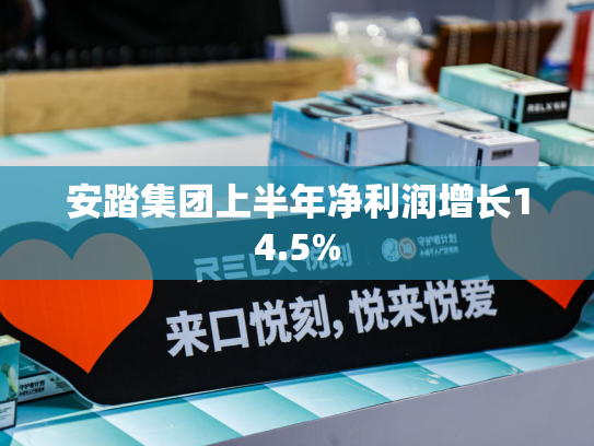 安踏集团上半年净利润增长14.5%