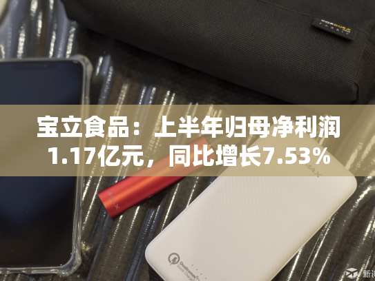 宝立食品：上半年归母净利润1.17亿元，同比增长7.53%-第1张图片-悦刻网上商城官方网站-正品优惠，尽在悦刻官方网站