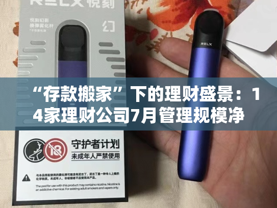 “存款搬家”下的理财盛景：14家理财公司7月管理规模净增长约1.8万亿