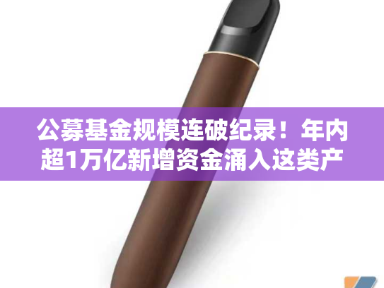 公募基金规模连破纪录！年内超1万亿新增资金涌入这类产品