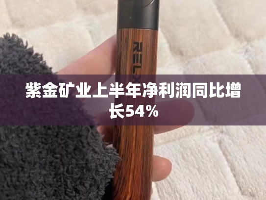 紫金矿业上半年净利润同比增长54%