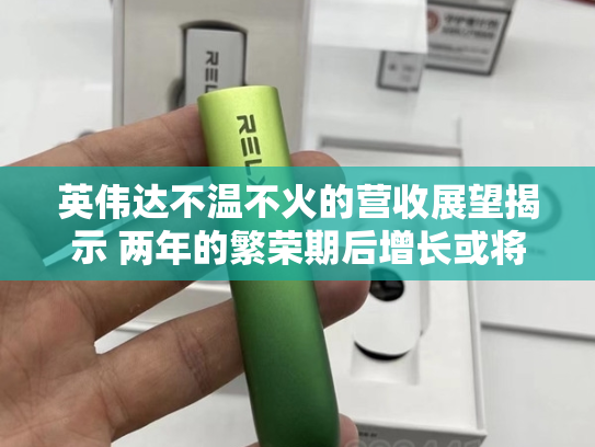 英伟达不温不火的营收展望揭示 两年的繁荣期后增长或将放缓