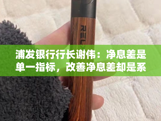 浦发银行行长谢伟：净息差是单一指标，改善净息差却是系统性工程