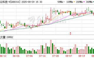 青云科技2025半年报：云服务首次实现盈利