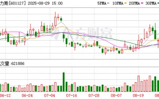 赛力斯2025年上半年营收同比下滑4.06%