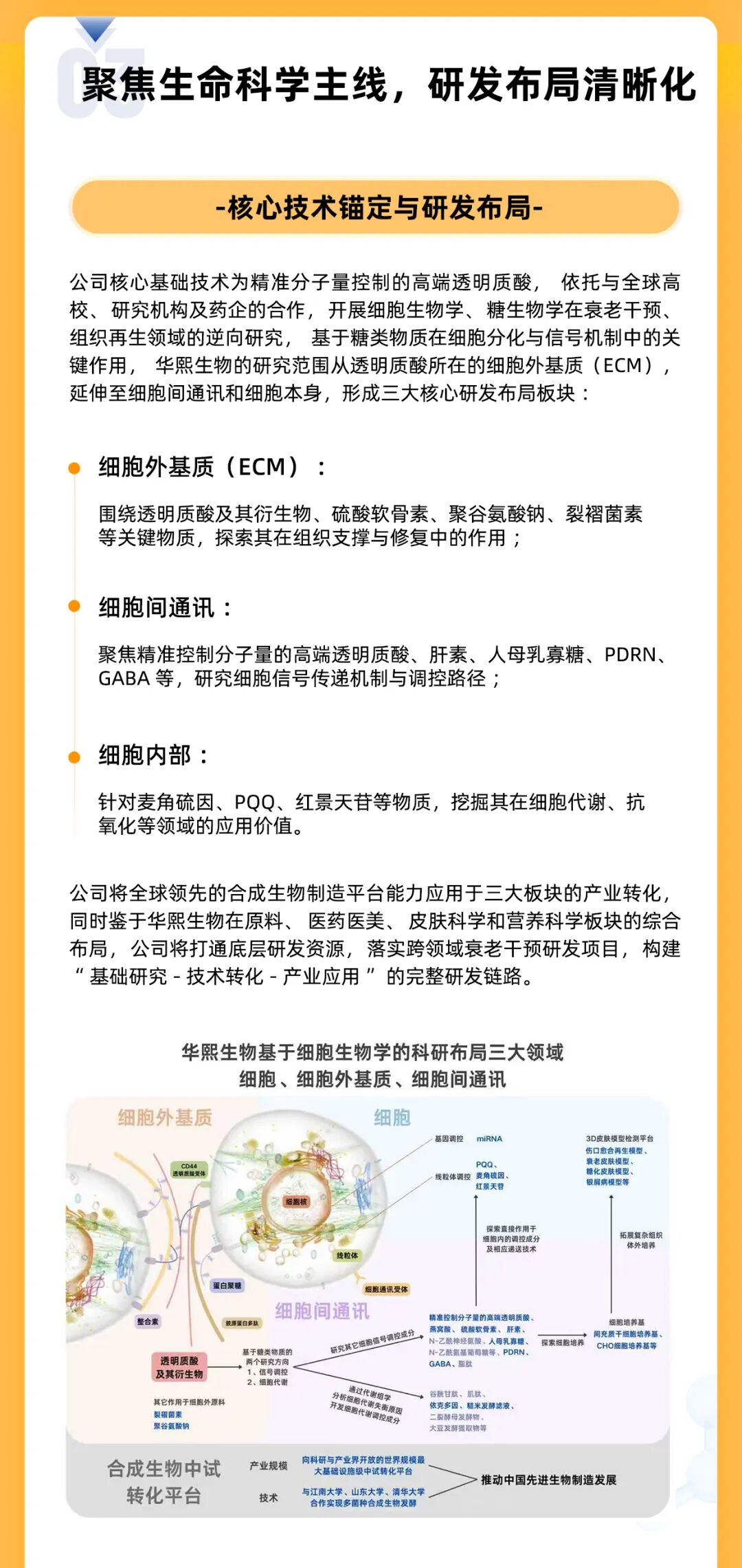一图读懂：华熙生物2025上半年业绩-第5张图片-悦刻网上商城官方网站-正品优惠，尽在悦刻官方网站