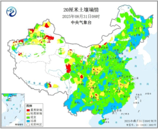 东海期货：玉米低估值买盘增强，继续关注新季度开秤行情-第11张图片-悦刻网上商城官方网站-正品优惠，尽在悦刻官方网站